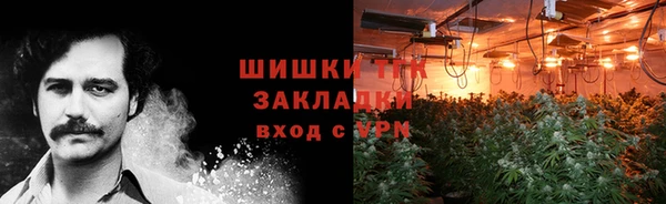 стафф Вяземский
