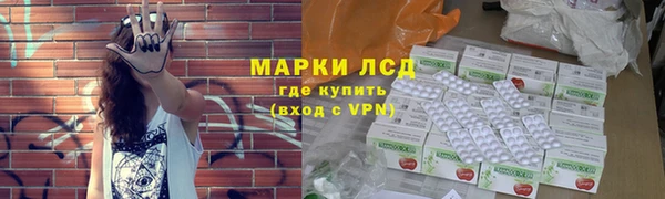 сатива Вязьма