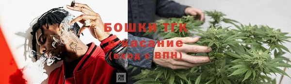 стафф Вяземский