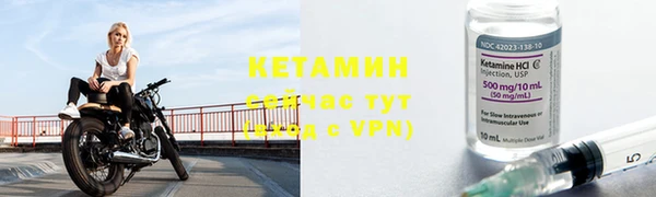 сатива Вязьма