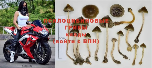 сатива Вязьма