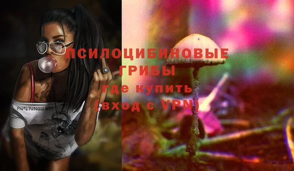 сатива Вязьма