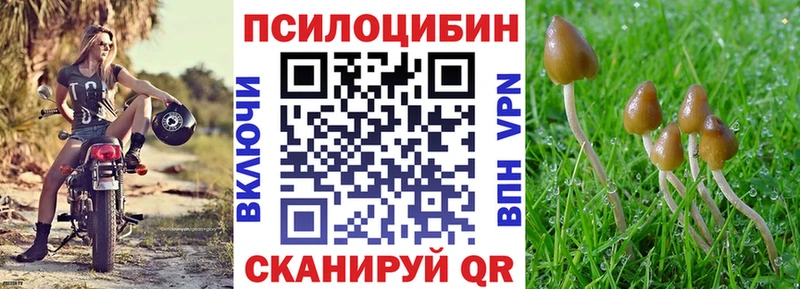 купить наркоту  Ногинск  Псилоцибиновые грибы Magic Shrooms 