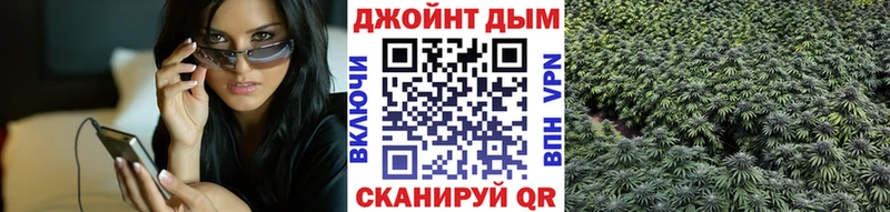 где можно купить наркотик  Ногинск  площадка какой сайт  Каннабис семена  кракен онион 